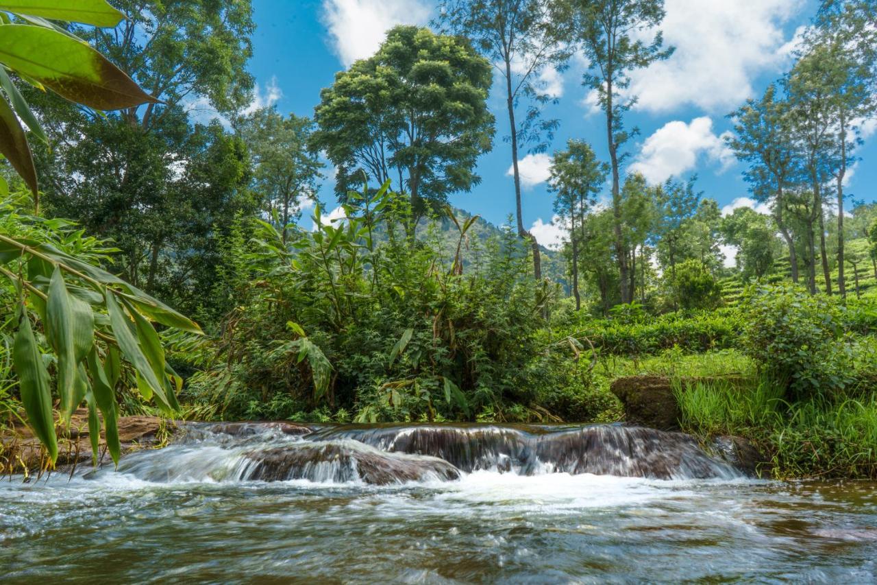 Biosphere Coonoor Dış mekan fotoğraf